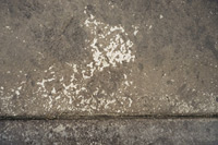 Click on the image to see the detailed photo page of this concrete tinting and restoration picture....