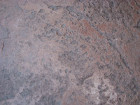 Click on the image to see the detailed photo page of this concrete tinting and restoration picture....